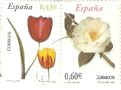 FLORES.  TULIPAN  Y  CAMELIA.