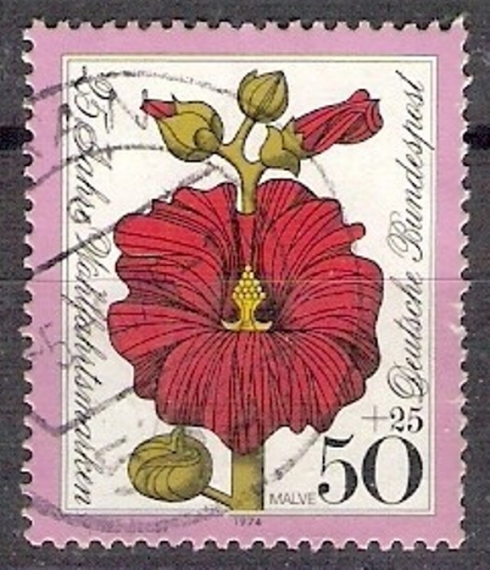 669 - flor malva