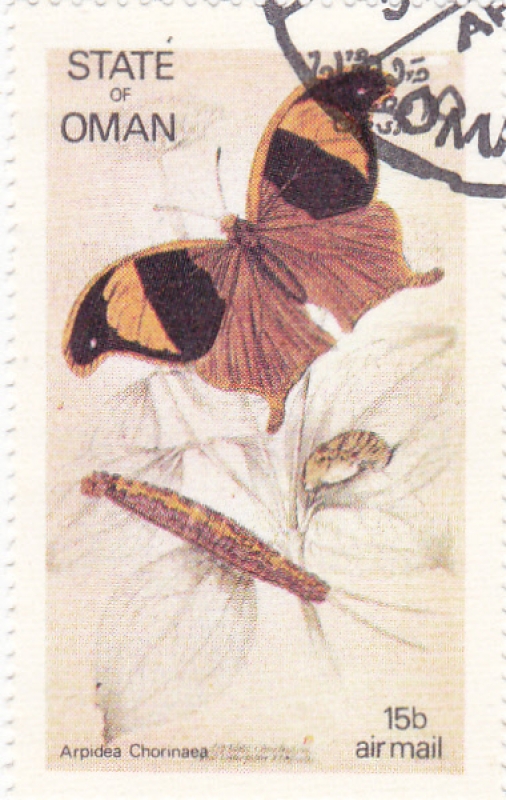 Metamorfosis