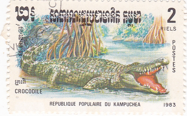 Cocodrilo
