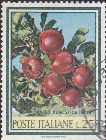 manzanas