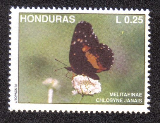 Mariposa