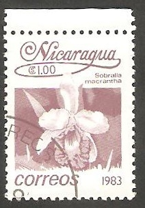 1256 - Flor