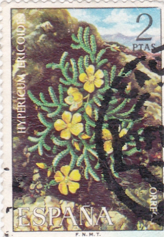 Flora