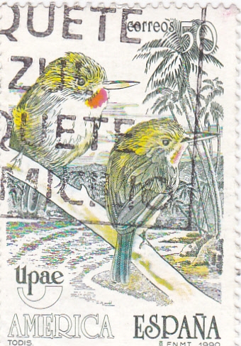 UPAEP -Todis (18)
