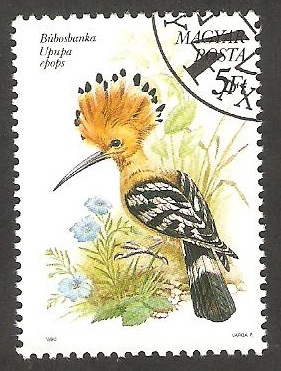 3260 - Pájaro