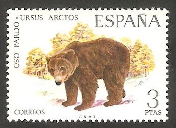 2038 - Oso pardo