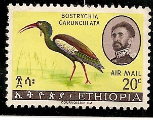 Pajaro