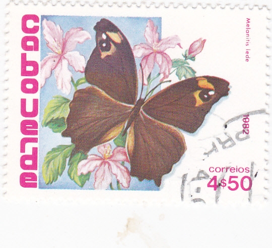 Mariposa