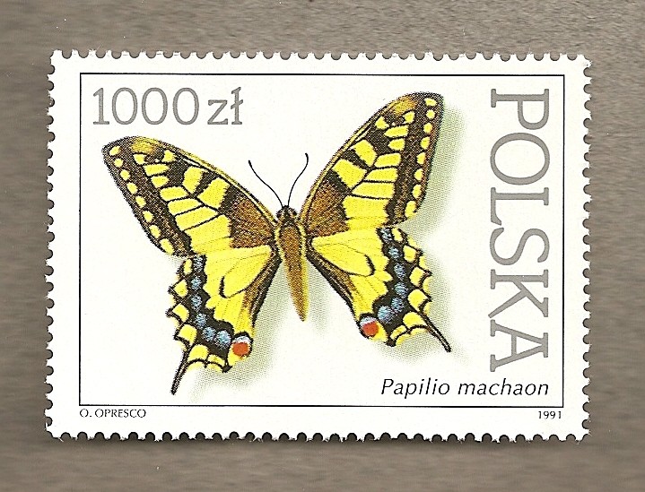 Mariposas