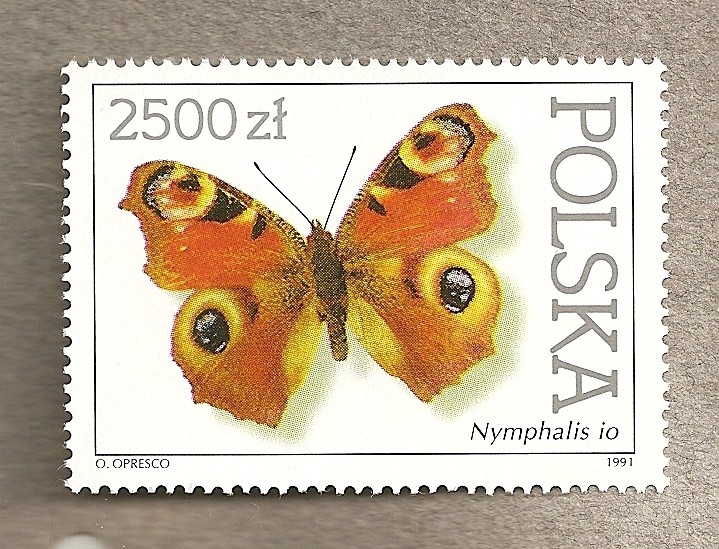 Mariposas