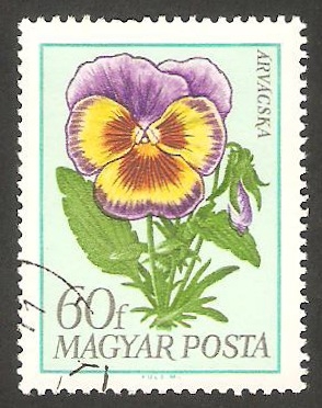 1994 - Flor pensamiento