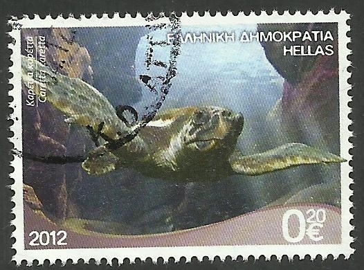 2609 - Tortuga