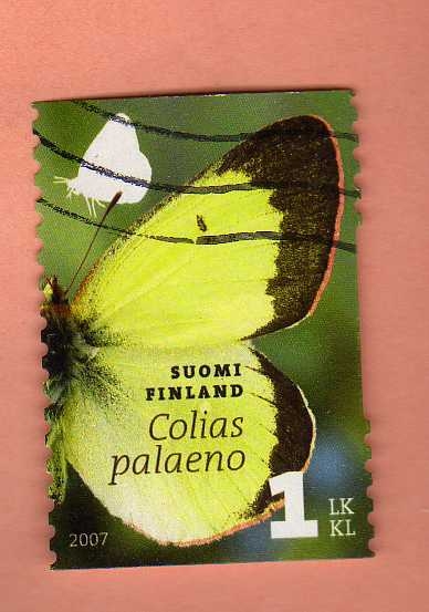 Mariposa