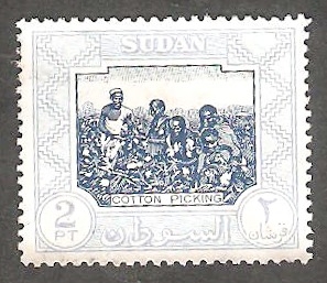 103 - Recogida de algodón