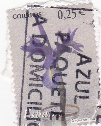 la flor y el paisaje (20)