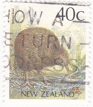 ave- kiwi