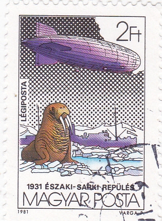 dirigible sobre la Antartica