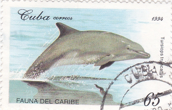 fauna del Caribe