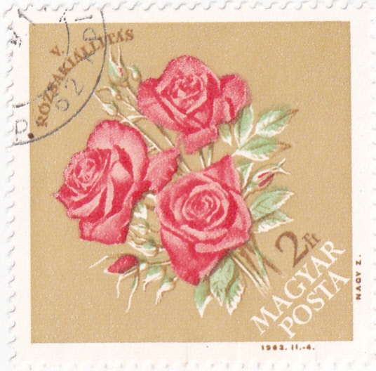 rosas