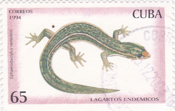 lagartos endémicos