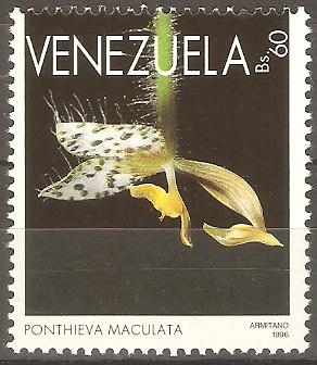 ORQUÌDEAS.  PONTHIEVA  MACULATA.