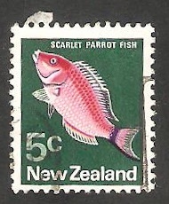 514 - Pez scarlet parrot 