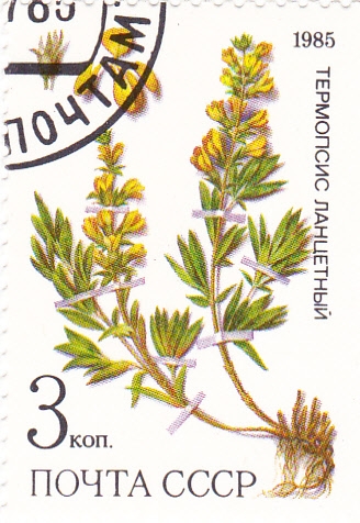flora-