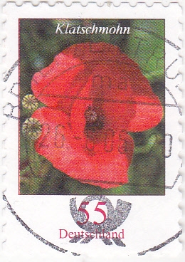 flores
