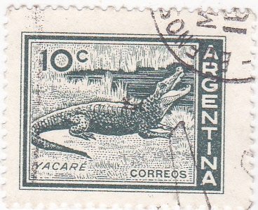 yacaré