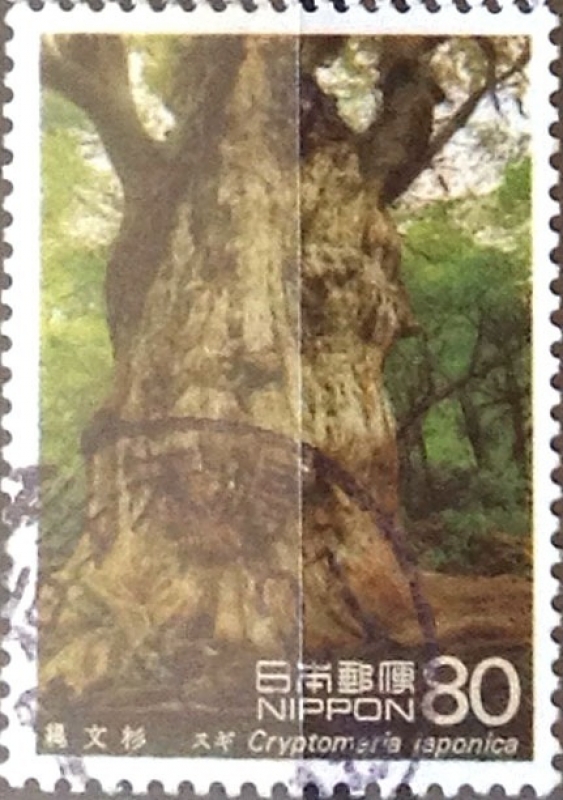 Intercambio 0,40 usd 80 yen 1995