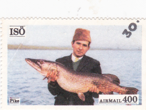 pesca en Isö