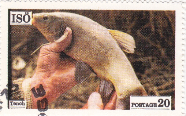 pesca en Isö