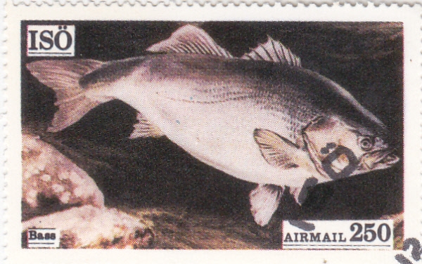 pesca en Isö