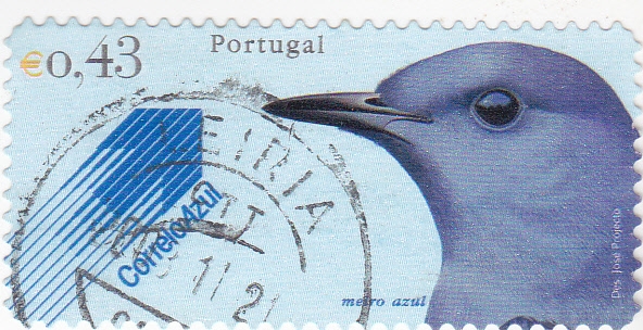  ave-meiro azul