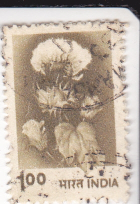 flores algodón