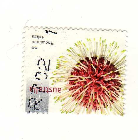 Hakea