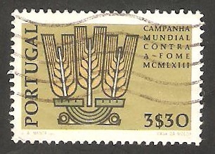 917 - Campaña mundial contra el hambre