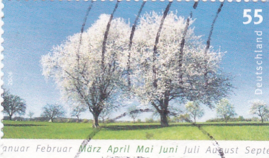 estación del año-almendros