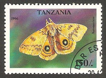 Mariposa