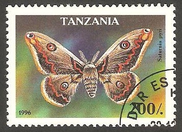 Mariposa
