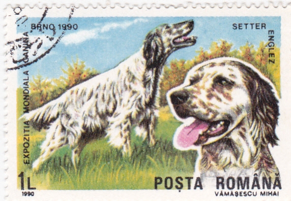 Brno-90 exposición mundial canina