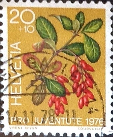 Intercambio 0,20 usd 20 + 10 cent. 1976