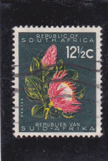 flora- Protla