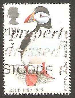 1363 - Puffin