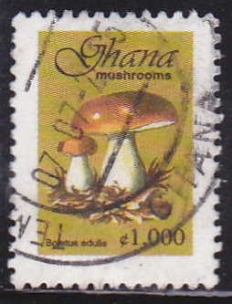 Hongos