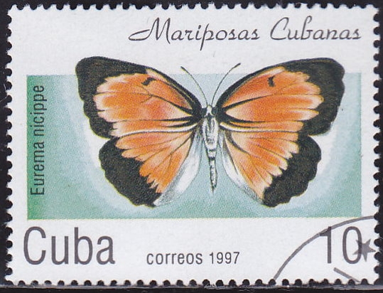 Mariposa