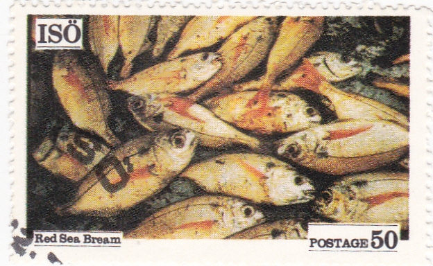 pesca en Isö