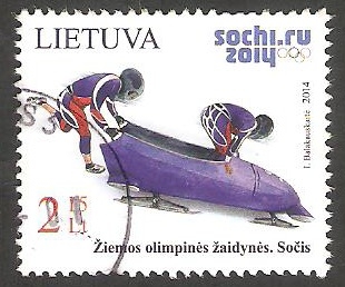 Olimpiadas de invierno en Sochi