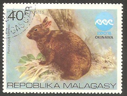 Exposición oceanográfica de Okinawa